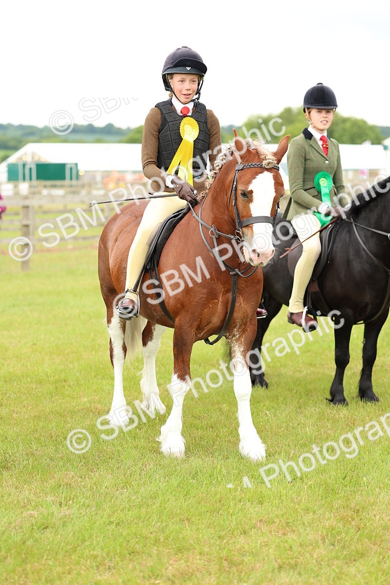 SBM_10409 - Class 44-45 - LIHS BSPS Open Nursery and Cradle Stakes