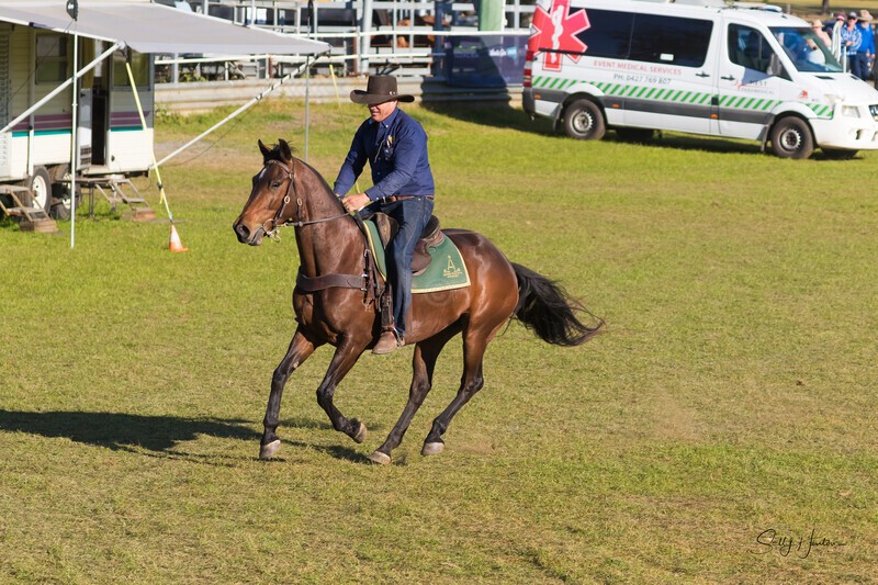 Guy McLean 11. 0A3A9596 - 2025 Senic Rim Clydesdale Spectacular