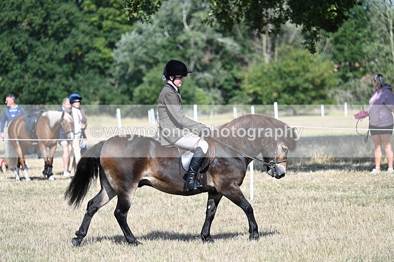 WJ7_2900 - Class 8 Ridden Tack & Turnout