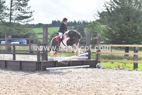 BPP_1875 - DERBY CLASS 5 - 60CM