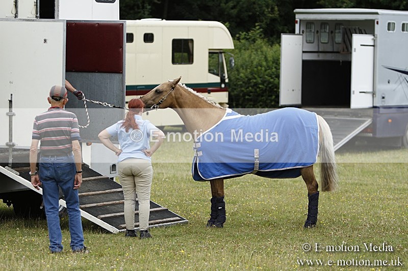 BVR160717-1273 - Caught on Camera 16/07/17