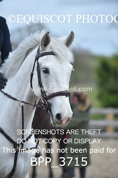 BPP_3715 - CLASS 2 BritiNovice/ 90cm Open