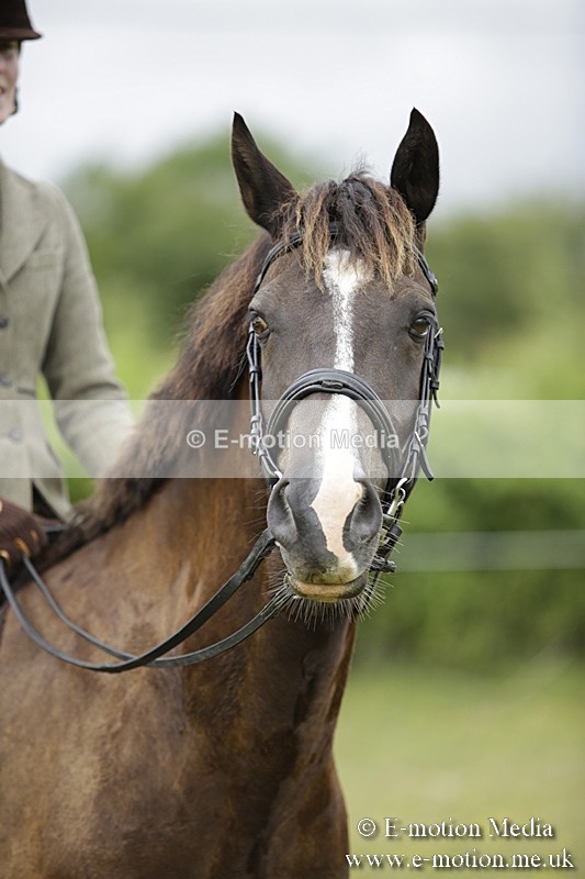 BVR160717-1339 - Ring 1 BVRC Show 16/07/17