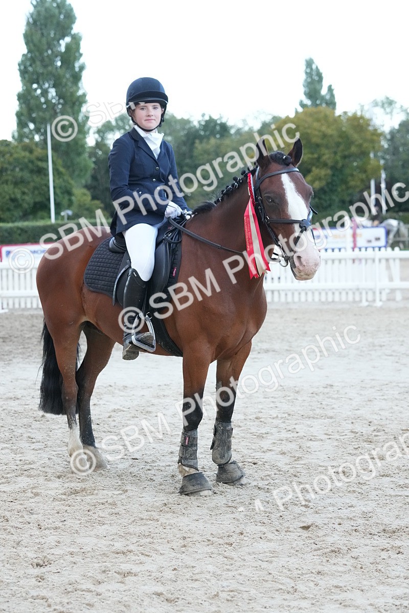 SBM_54257 - Supreme Championship 60cm 65cm