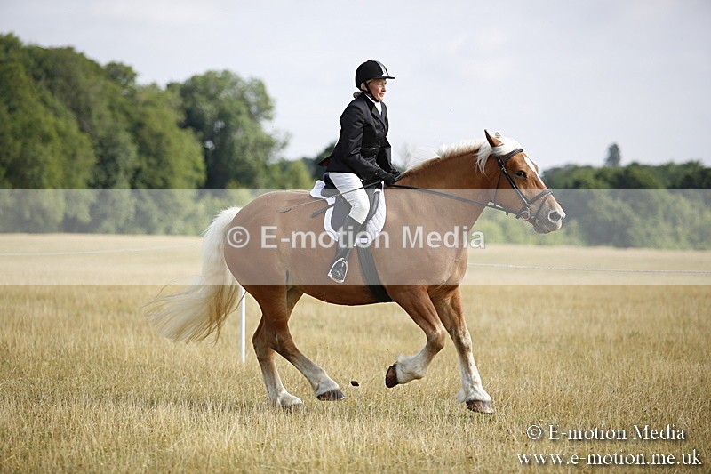 _C7A9278 - BVRC Show 2018 Ring 1