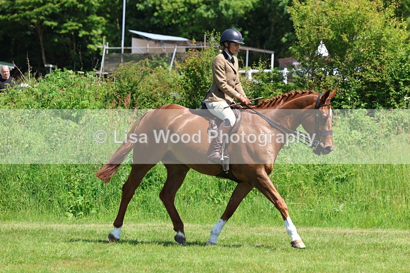 3E7A8220 - Class 13: Ridden Hunter