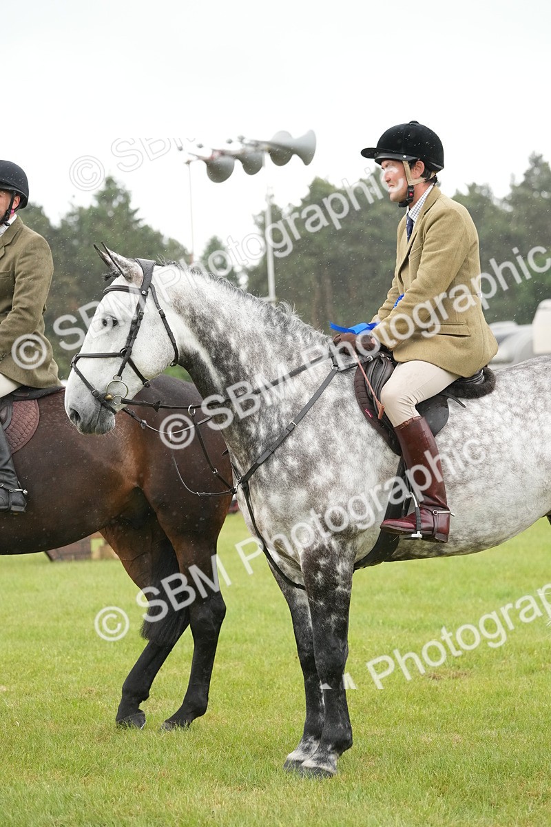 SBM_12812 - Class 97-98 - LIHS BSHA Rising Star Working Show Horse Hunter