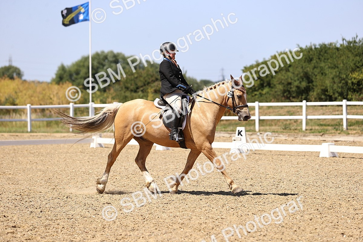 SBM_012222 - Novice 5 - 13.05-14.36