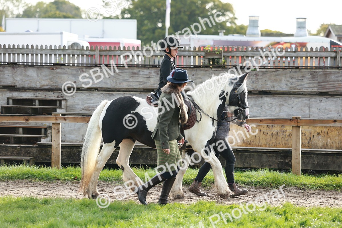 SBM_56342 - S39 - Starters In Hand Showing