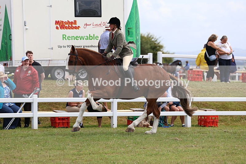 3E7A0600 - Rising Star Ridden Championship