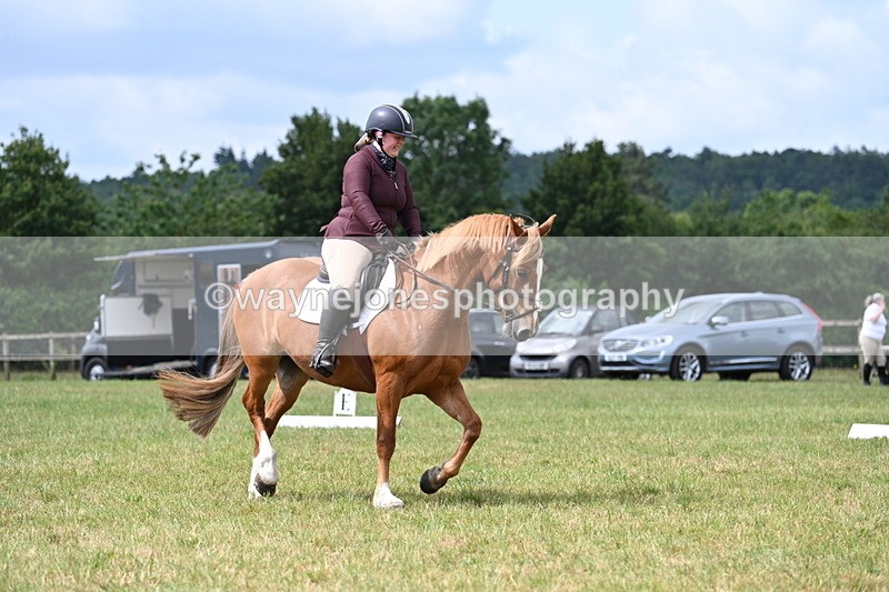 WJ7_2920 - Time 10:14 to 10:27