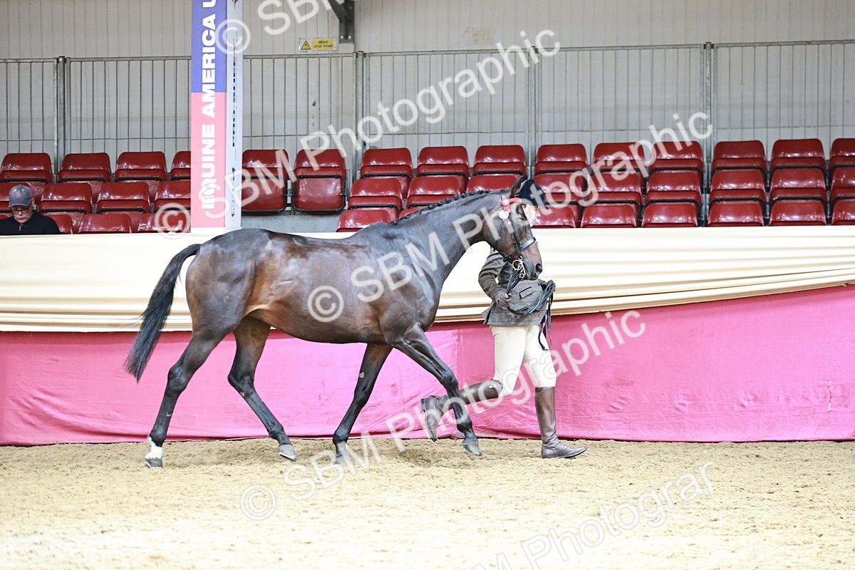 SBM_04667 - Class 7R - Regional IH Diamond