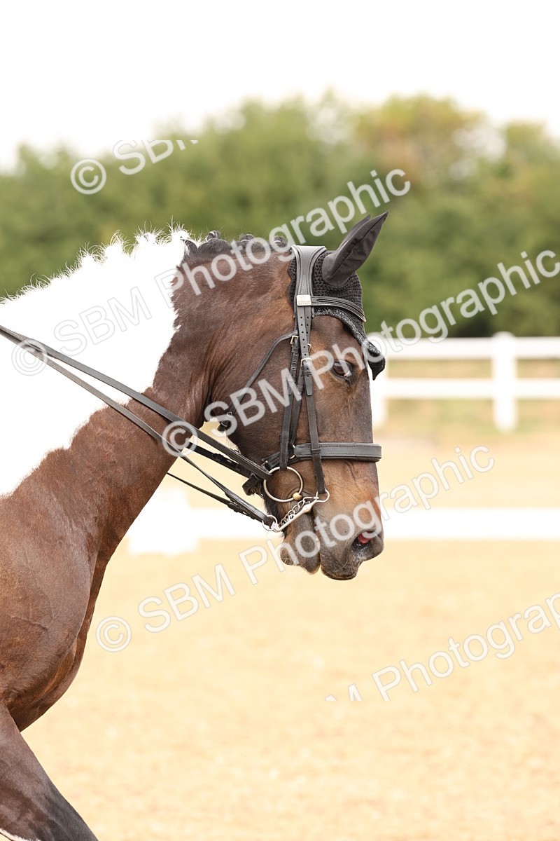 SBM_005555 - Class 12 - Elementary 6 Silver - 10.36-11.32