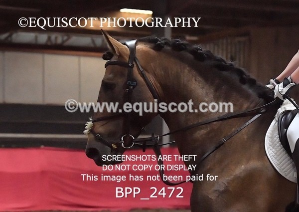 BPP_2472 - AFTERNOON 12.30 - 3.30PM