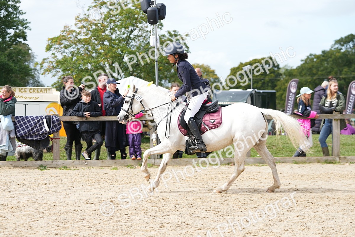 SBM_40104 - J6 - Junior Pony 55cm Championship