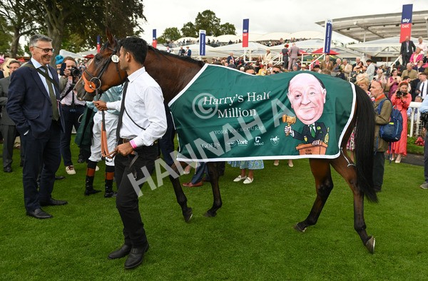 210825-056 Song Of The Clyde - Race 2 2.25pm Harry's Half Million By Goffs