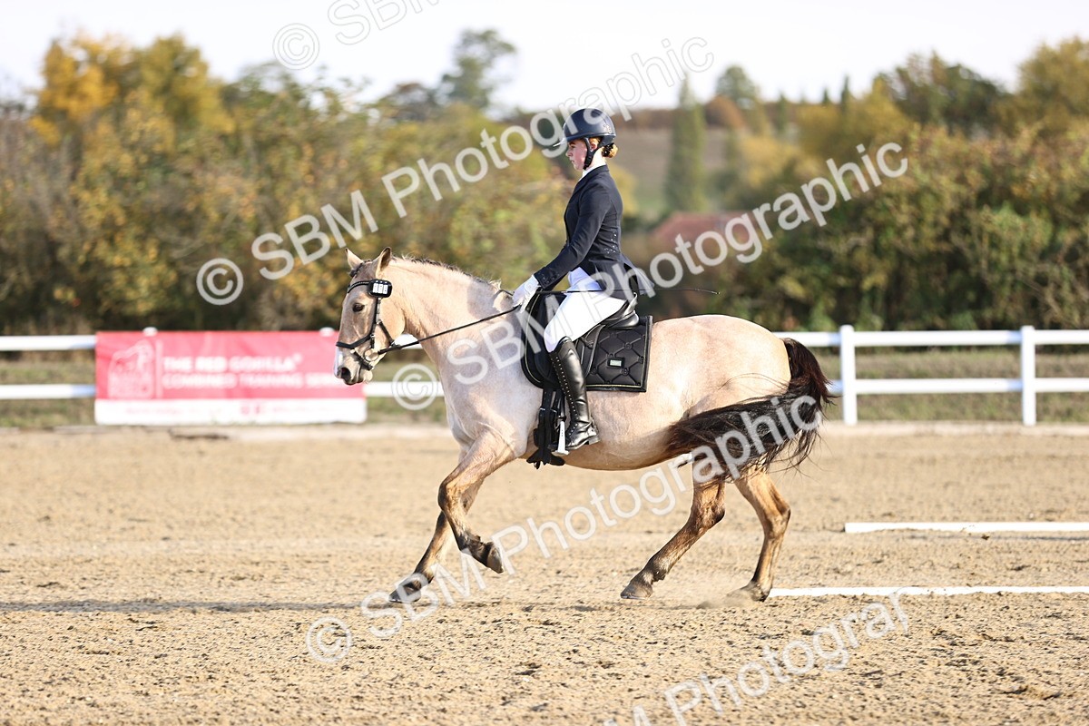 SBM_009100 - Class 2 - P5