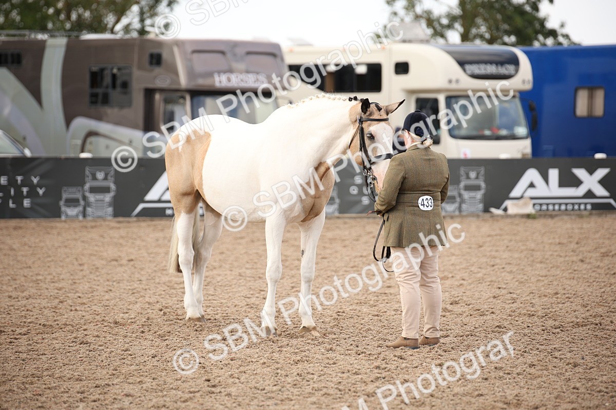 SBM_08216 - Class 27 - IH Competition Horse-Pony