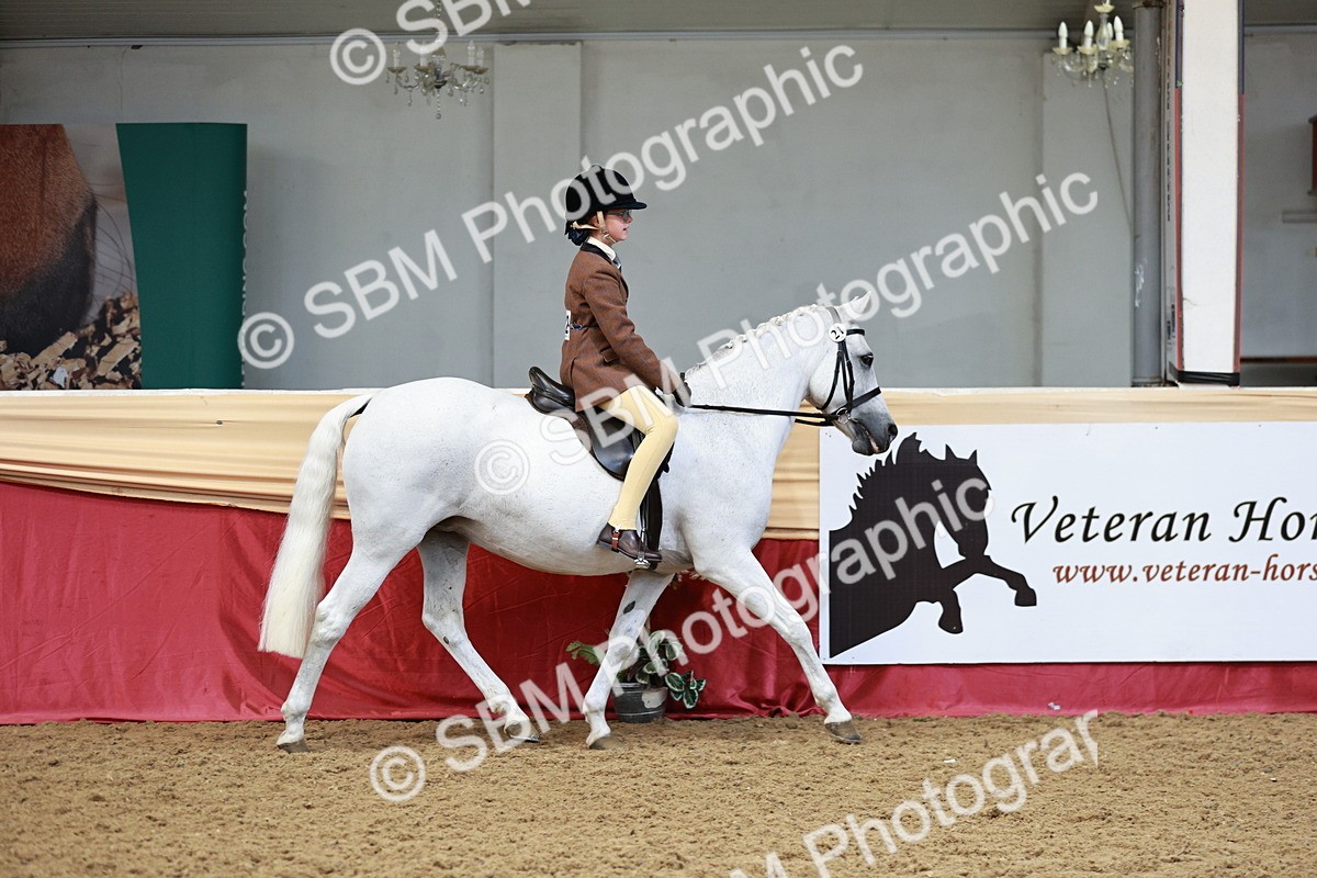 SBM_02986_Class 5a - Area - Ridden Veteran - Vicky Gutteridge