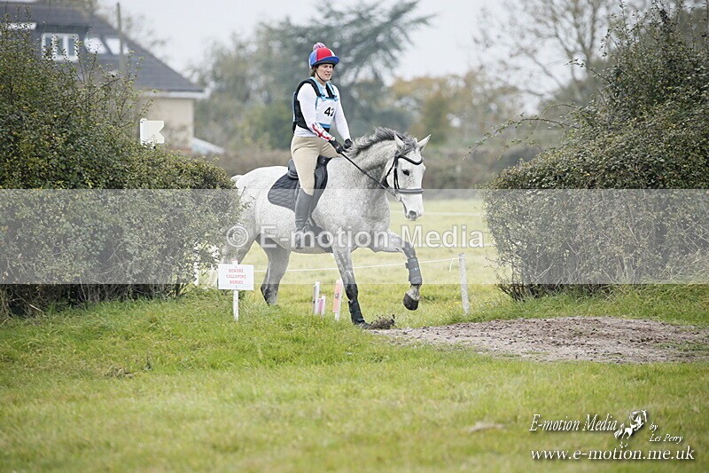 WWHT 181020 WWHT 181020 850 - WWEC Novice Pairs (0.80m) 18/10/20