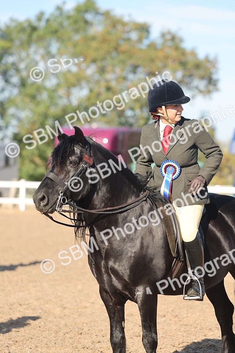SBM_11119 - Class 302 - Ridden M&M Large Breeds
