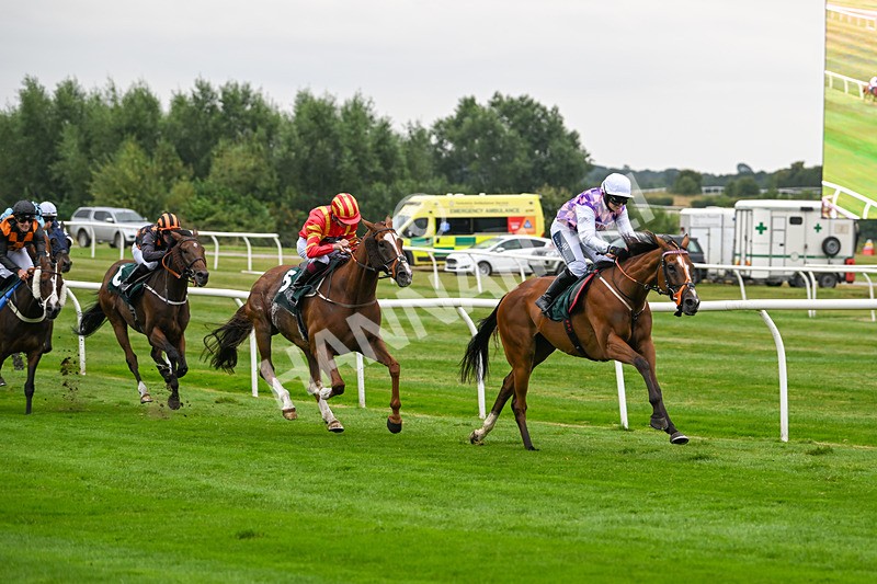 190824-Race 1-Shes A Novelty-3272 - Race 1