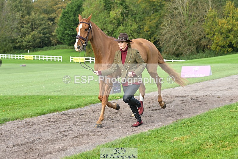 241023-131741-00187 - 010-Julia.Norman-SCOTCH.ON.THE.ROCK'Z