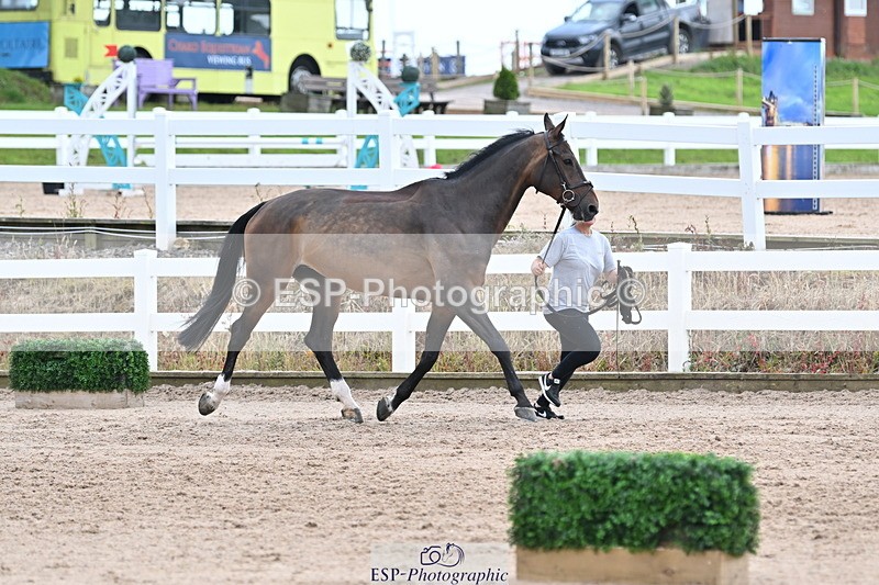 240717A-143152-02110 - Trot Up 2pm to 3pm - This folder is not in time order
