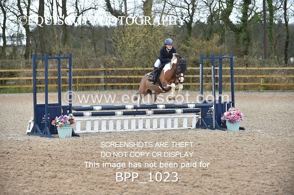 BPP_1023 - CLASS 1 Club/ Unaffiliated 60cms Open