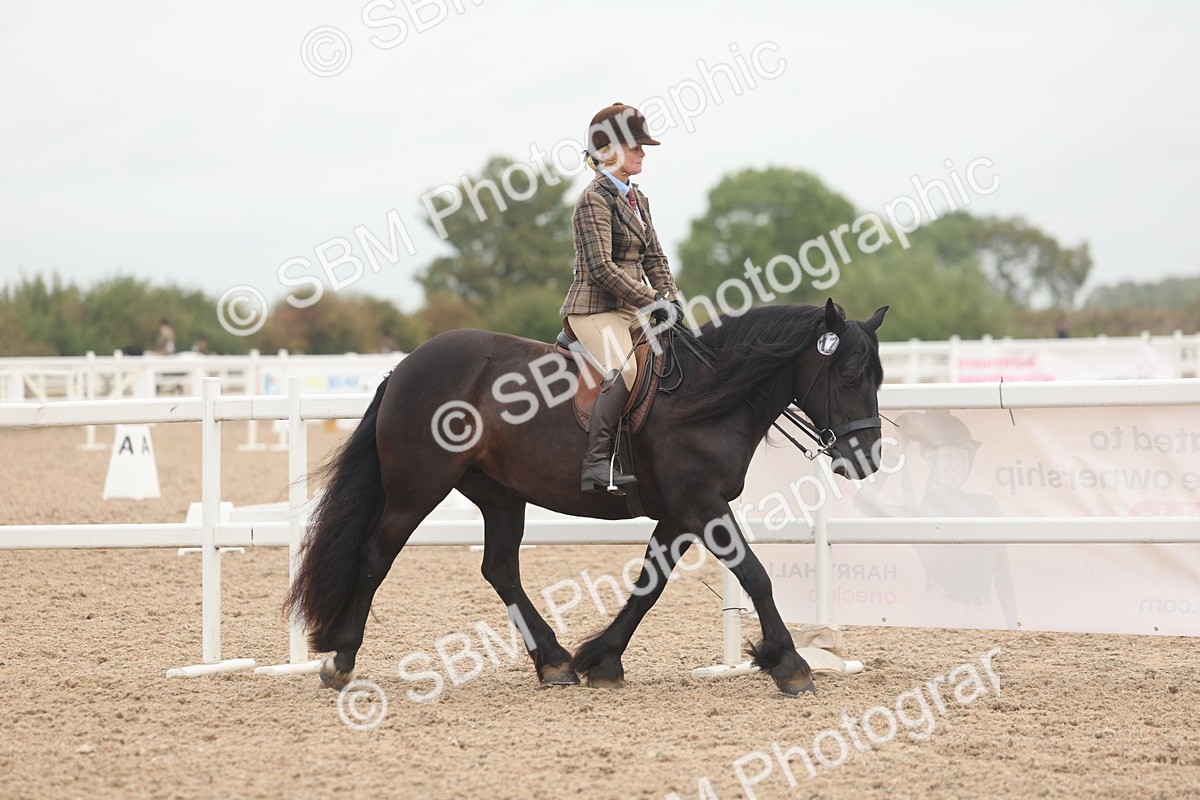 SBM_01859 - Class 14 - Ridden M&M Wildcard