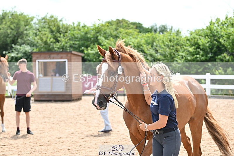 240717A-144409-02255 - Trot Up 2pm to 3pm - This folder is not in time order