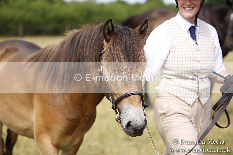 _C7A9656 - BVRC Sow 2018 Ring 2