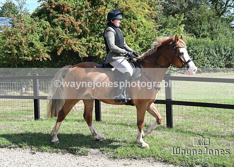 WJ7_0545 - Berks & Bucks - Hound Exercise – Kennels 06-09-26