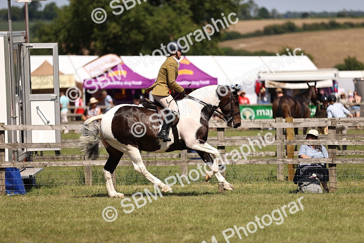 SBM_17903 - Class 81-83 - TSR Ridden Amateur of the Year - Horses