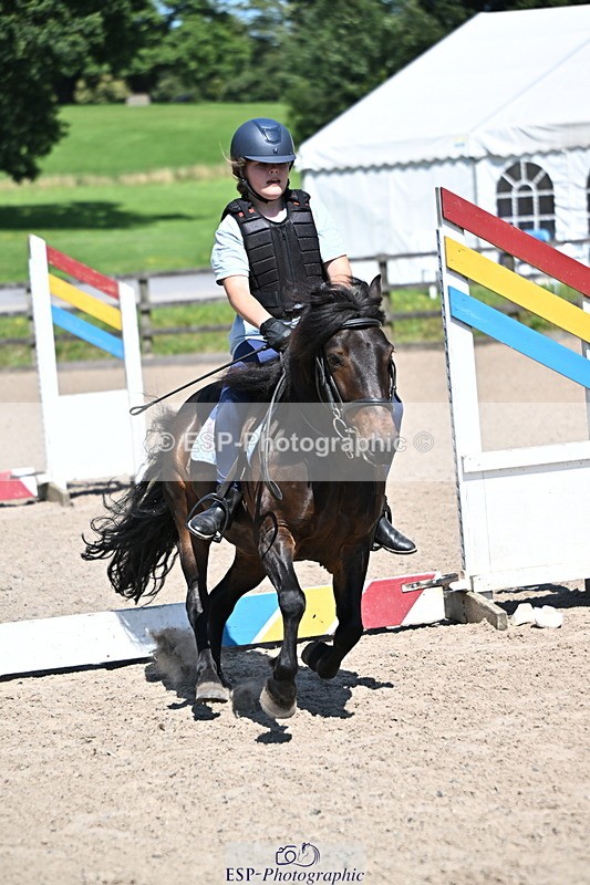 240729B-114514-02533 - Showjumping Competition