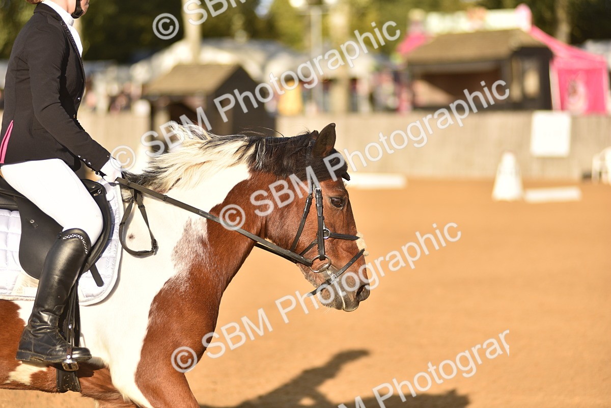 SBM_53393 - D24 - Junior Championship Prelim 3