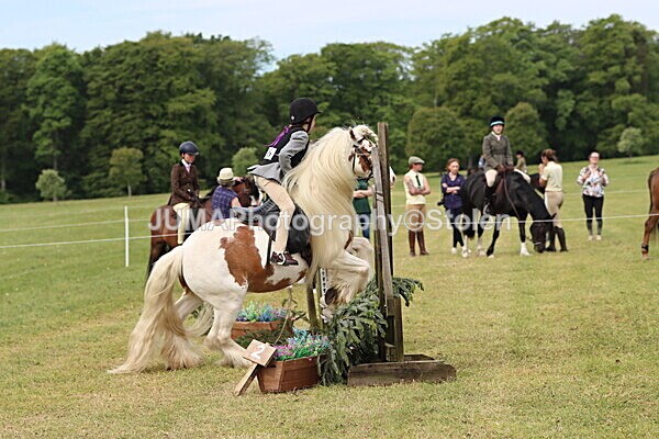 IMG_2435 - Working Hunter