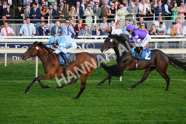 yr08102021r6-13 - Race 6 4.55pm Frank Whittle Partnership British EBF Restricted Novice Stakes