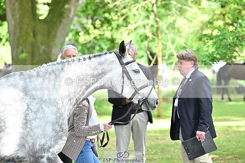 250521A-152019-00434 - B-357-Rosalind.Canter-ARMSCOTE.EXPLORER