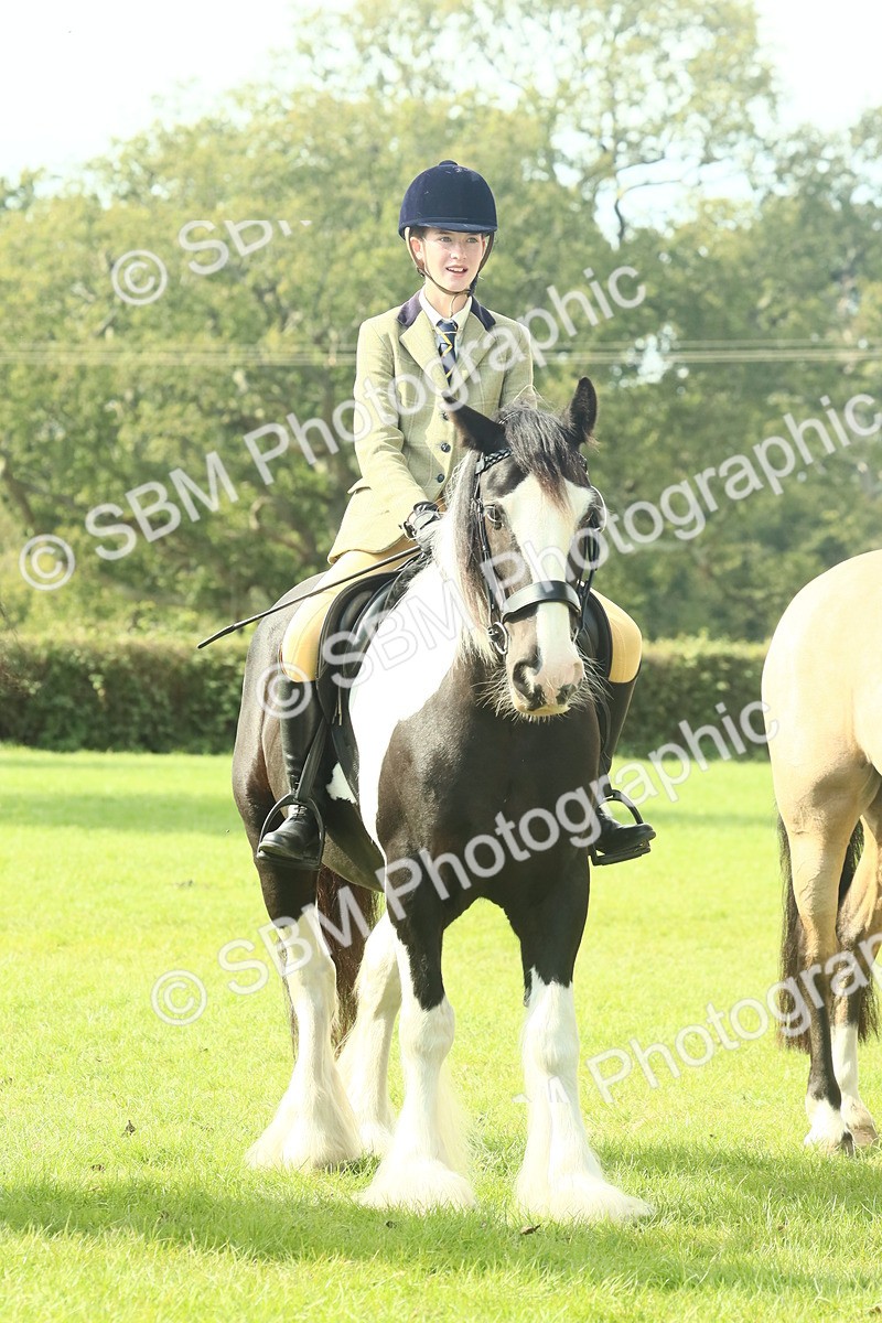 SBM_68943 - S58 - Mini Show Cob Ridden