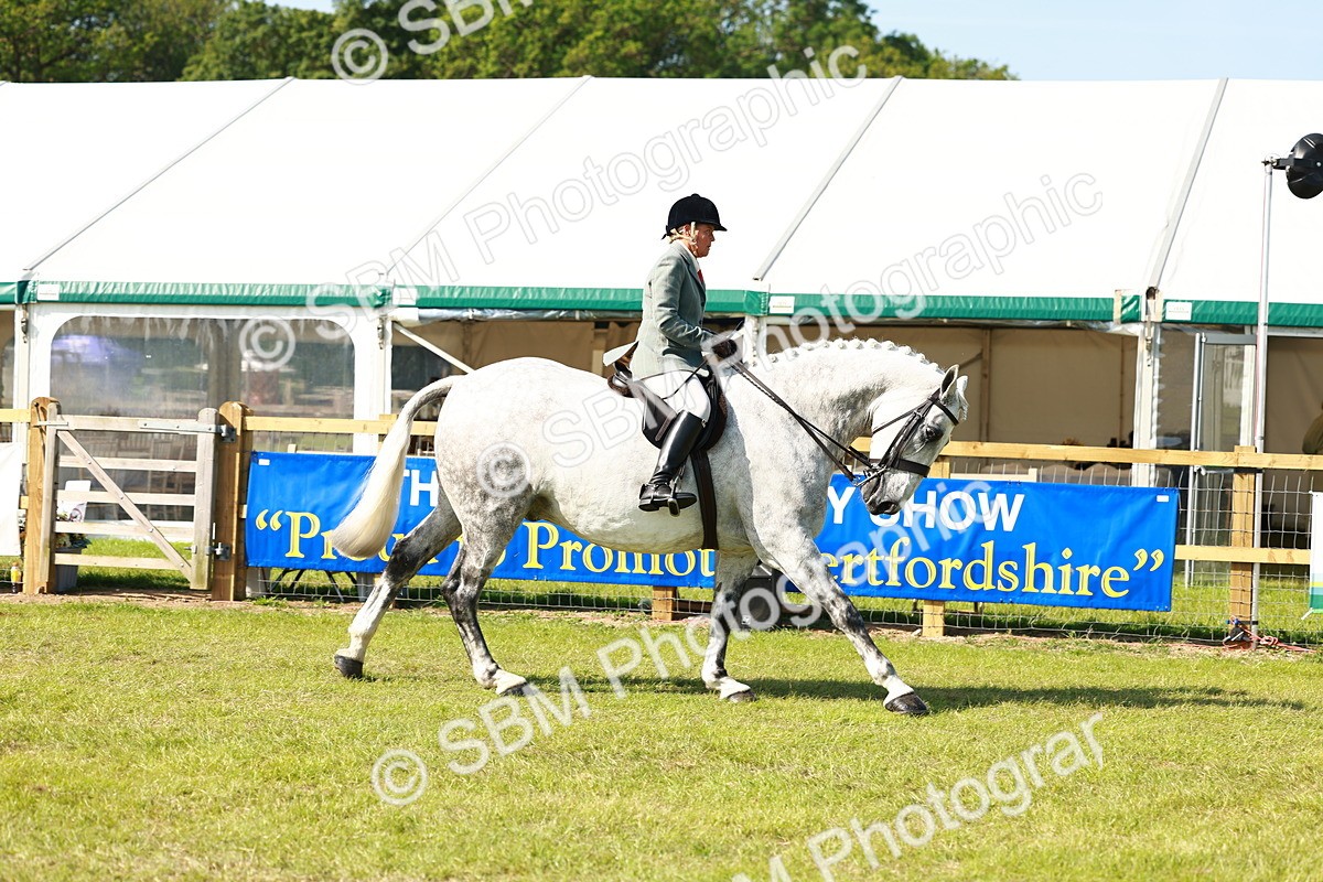 SBM_11931 - Class 66-69 - RIHS Ridden Hunters Inc Small Hunter