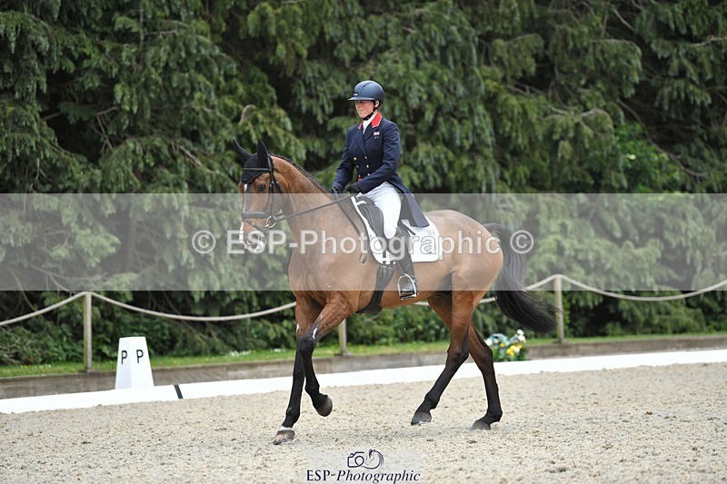 230525-150258-03185 - 324-DRUMGIVEN_MR_CHARISMA-Jeanette_Brakewell-WEDTrotUp+DR