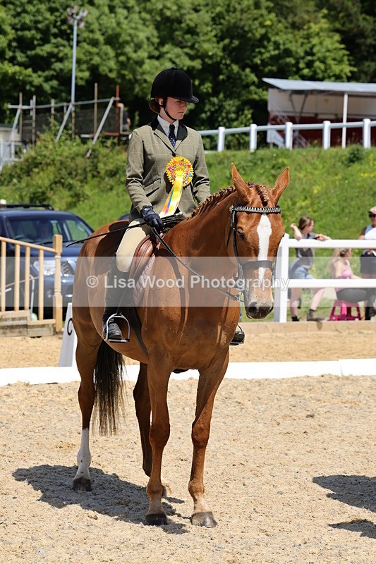 1X9A1919 - Class 12: Ridden Riding Horse/Hack