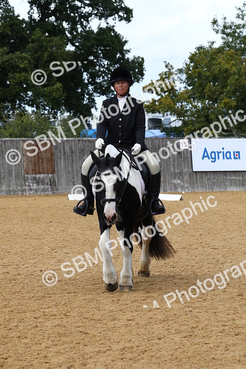 SBM_23435 - D5 - Small Tour Championshop Intro 2