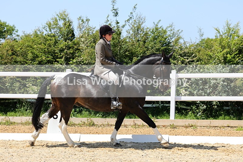 1X9A1712 - Class 11: Ridden Cob