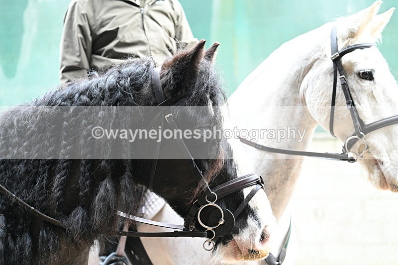 WJ7_8758 - Berks & Bucks - Rowles Farm 15-02-26