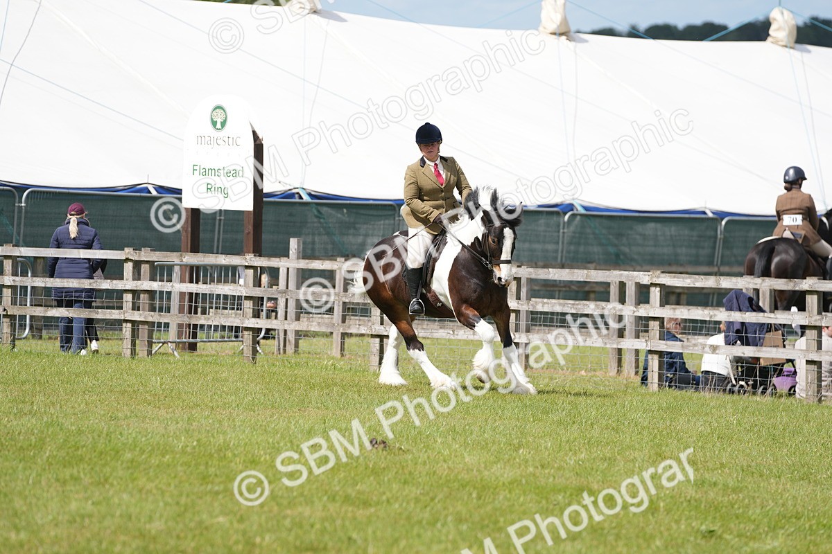 SBM_17291 - Class 107-108 - LIHS BSPS Performance Coloured Horse Pony