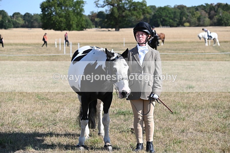 WJ6_7303 - Class 33 Rescue Pony