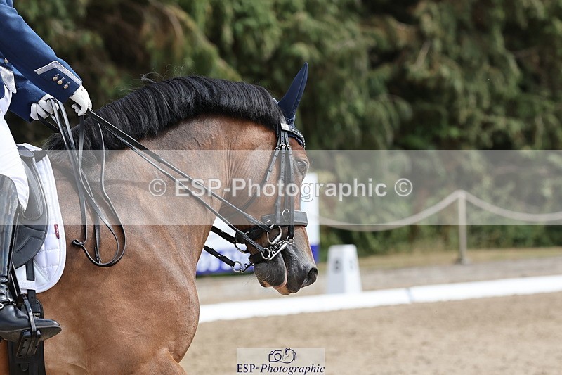 250809A-145350-04119 - 095-Alison.CrimpCrwys.Beau