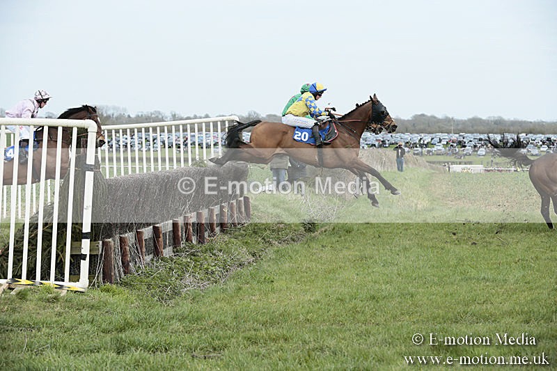 PtP 230319 183 - VWH Hunt Siddington Point-to-Point Racing 23/03/19